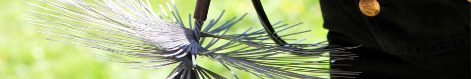 Banner - Jürgen Lehmann